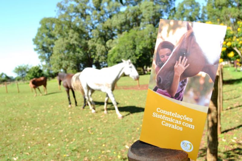 Constelação Sistêmica com Cavalos em Dourados