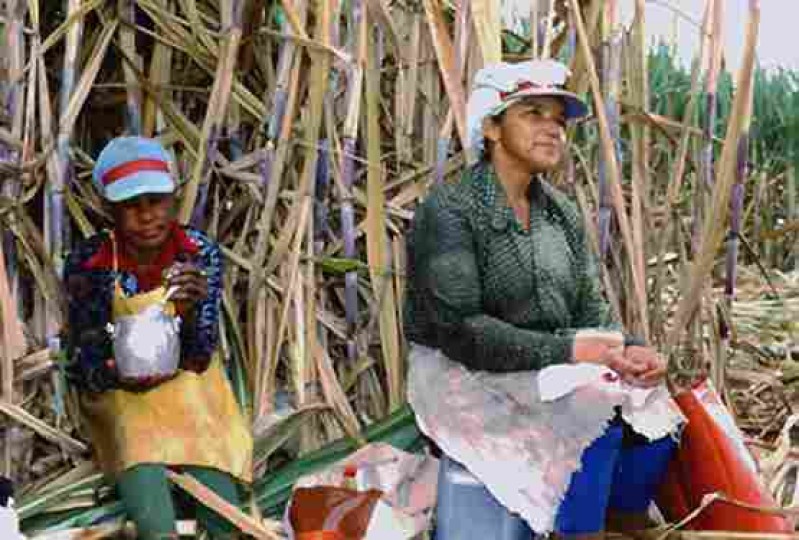 Festa do Dia 05 de Outubro